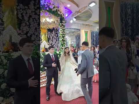Tuylar Muborak, Wedding day Свадьба Хуш келибсизлар #подпишись #топ #свадьба #тренды #youtube
