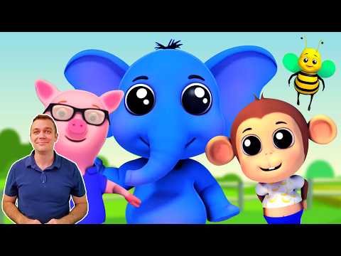 Going to the Zoo Song | Learn Animals for Kids & Toddlers