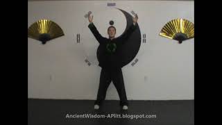 Daily Standing Meditation (Zhan Zhuang Qigong) Intro And Instructions Daily Standing Meditation (Zhan Zhuang Qigong) Intro And Instructions