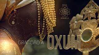 OXUM - Rosa Amarela