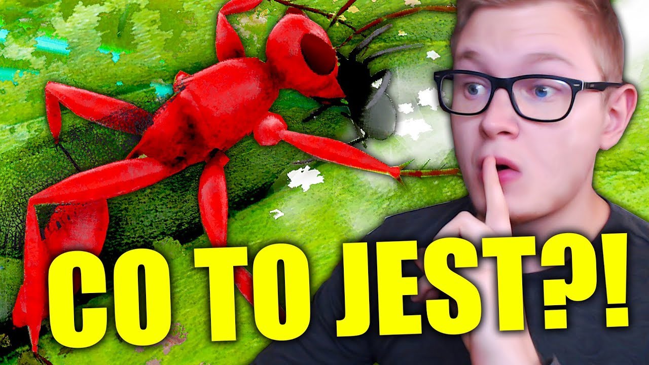 *TO* ZAATAKOWAŁO MOJEGO PAJĄKA! | ŻYCIE PAJĄKA