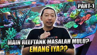 TIPS BIAR GAK KESUSAHAN MAIN AKUARIUM AIR LAUT PART 1