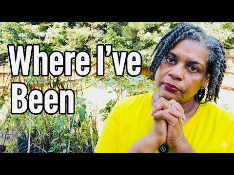 Answering "Why I Haven't Been Posting"