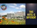 Welli Hilli Park Resort - This Hotel Is Different | Hoengseong-gun, South Korea🛏️