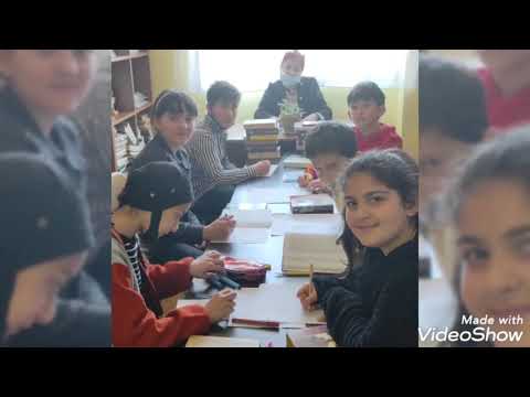 ელზას მასწავლებლის  ვიდეო