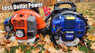 Husqvarna 150BT 51cc Vs Wild Badger 53cc Gas Backpack Leaf Blower