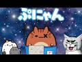 世界1位の猫投げ配信【ぷにゃん】 #Shorts