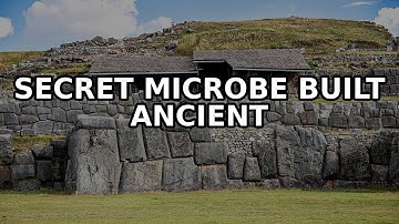 The Secret Microbe That Built Ancient Civilizations Revealed