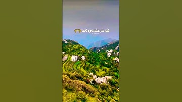 تلاوة خاشعة بصوت جميل ومؤثر يريح الأعصاب #تلاوة #اكسبلور #aslam #المصحف #trend #لايك #قران_كريم