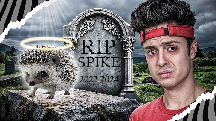 INFELIZMENTE O SPIKE NÃO SOBREVIVEU!