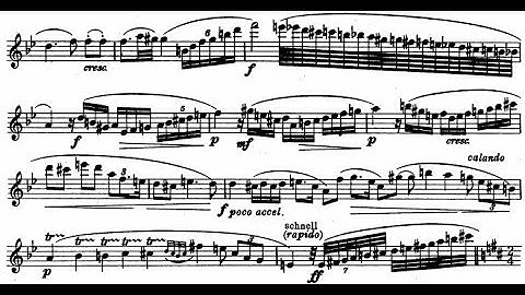 Richard Strauss - Oboe Concerto, TrV 292 (1945)
