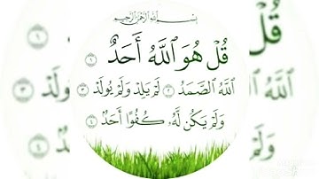 سورة الإخلاص بصوت القارئ ماهر المعيقلي