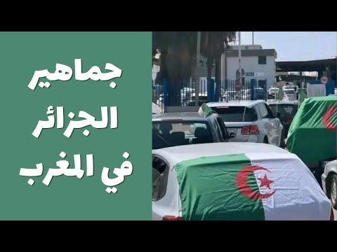 سر أخلاق جماهير الجزائر في المغرب حقيقة أبهرتني