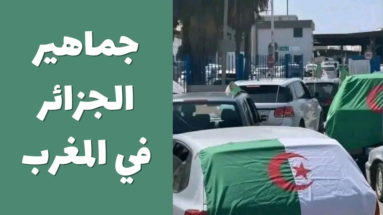 سر أخلاق جماهير الجزائر في المغرب؟ حقيقة أبهرتني!
