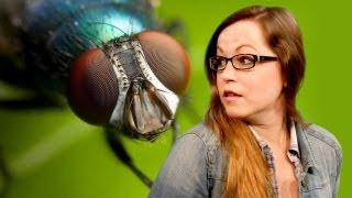 Fly Attack in the Studio! screenshot 5