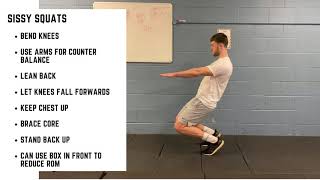 Sissy Squats - Bok Programming