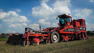 Uienrooien Met Amac Zm-4 Zelfrijdende Uienrooier