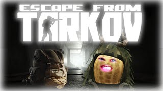 Download Lagu Peanut's Biggest Haul Of The Wipe? | Escape From Tarkov MP3 Download Lagu Peanut's Biggest Haul Of The Wipe? | Escape From Tarkov MP3
