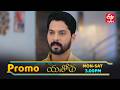 Yashoda Latest Promo | Episode No 116 | 11th March 2026 | ETV Telugu