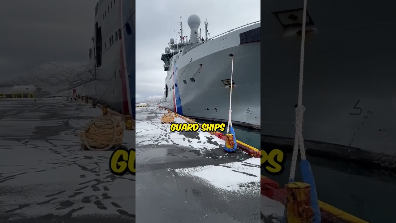 Iceland Has NO Army?! And They’re Just… Fine With It?