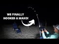 Can't Believe This Happened!- (LAND BASED SHARK FISHING)