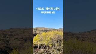 아침마다 예쁜 변덕스런 봄 아가씨 #시골강아지 #귀촌생활 #바닷가마을 #nuri
