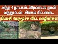 Singam Returns | Friends, I&#39;ve arrived | Employees relief | Vandalur Zoo | Those 4 days