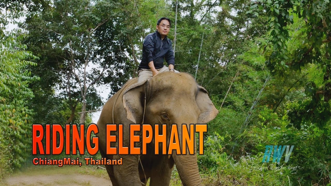First time riding Elephant in Chiang Mai, Thailand