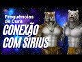 Conexo com srius   a frequncias de cura srius