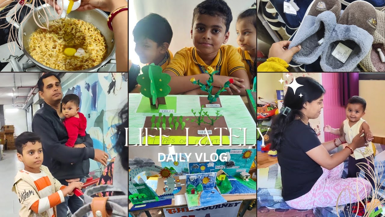 Vihaan's 1st Science Exhibition ,Winter Shopping from Vishal & Adu Baby Ka Dance