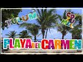 Tours en PLAYA DEL CARMEN  CANCUN QUINTANA ROO MEXICO‼️🇲🇽🦑🦀🐟🏝