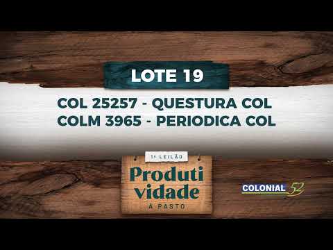 LOTE 19   COL 25257,COLM 3965