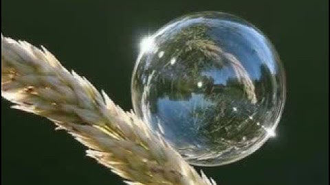 أروع و أحلى و أجمل تلاوة قد تسمع أذناك !!!! روووووعة !!!