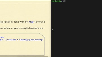 bash5.05 Signal Handling