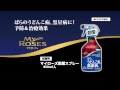 ばらの病害虫対策に簡単便利なスプレー剤！ 【殺虫殺菌剤＆殺菌剤】