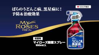 ばらの病害虫対策に簡単便利なスプレー剤！ 【殺虫殺菌剤＆殺菌剤】