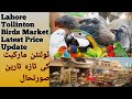 Visit Lahore Tollinten And L O S Birds Market | Lahore Birds Market Price Update | All Information