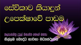 20. සේවිකාව කියාදුන් උපෙක්ෂාවේ පාඩම | උපුටාගත් කෙටි දෙසුම් | Nilambe