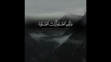 تلاوه خاشعه هادئه من الشيخ ناصر القطامي 💚🍀استماع طيب|تلاوه-Telawh