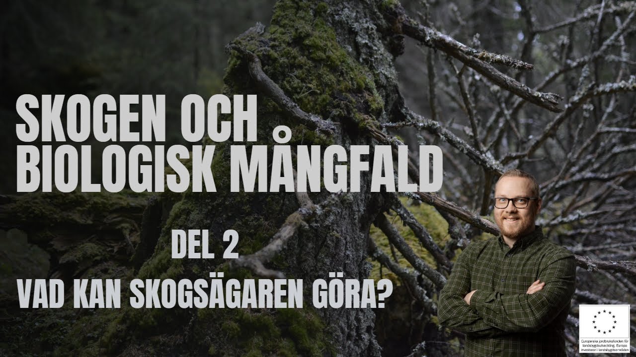 Skogen och biologisk mångfald - del 2