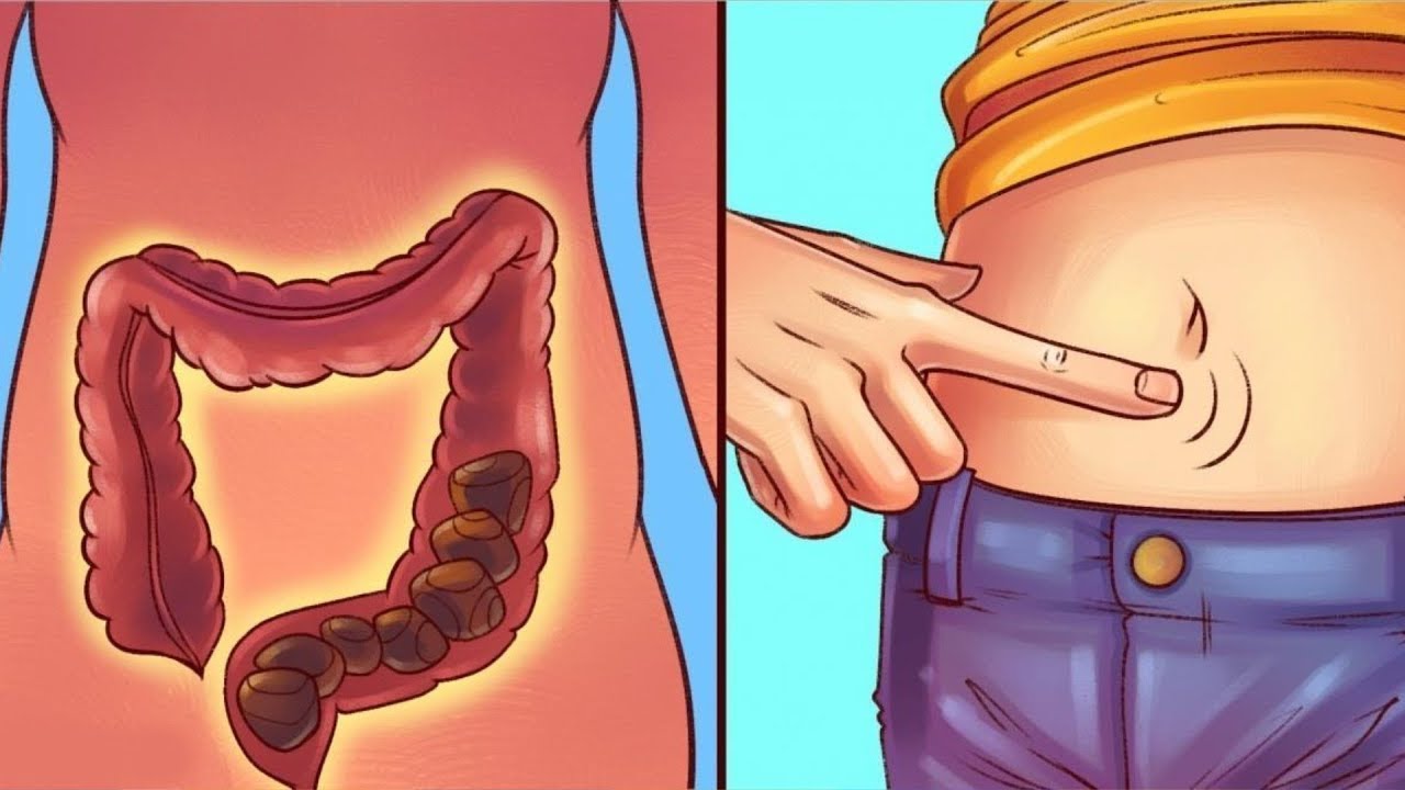 CÓMO LOGRAR UN ABDOMEN PLANO EN SÓLO 1 SEMANA manualidades de animales