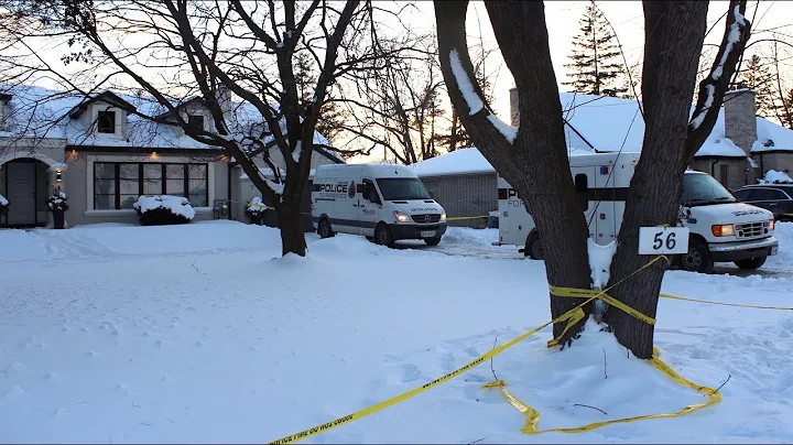 A cold Mafia hit inside family home  Cece Luppino
