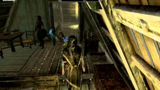 The Elder Scrolls V: Skyrim Morokei and house bug