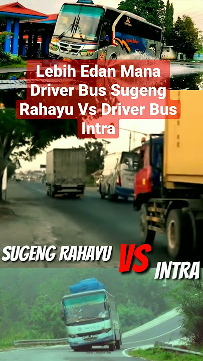 Lebih Edan Mana Driver Bus Sugeng Rahayu Vs Driver Bus Intra #busmania #bus #shorts