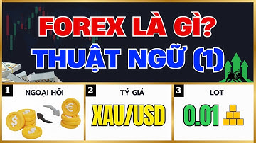 Phần 1: FOREX là gì? LOT là gì? Các cặp tiền chính trong Forex