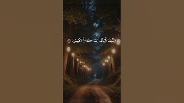 استخدمو الصوت 😊| اكتب شئ تؤجر علية | قرآن كريم تلاوة خاشعة #قرآن #تلاوة_خاشعة #quran #قرآن_كريم