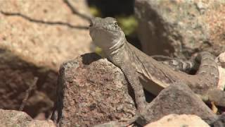 Climate Change Threatens New Mexico Water, Land Resources