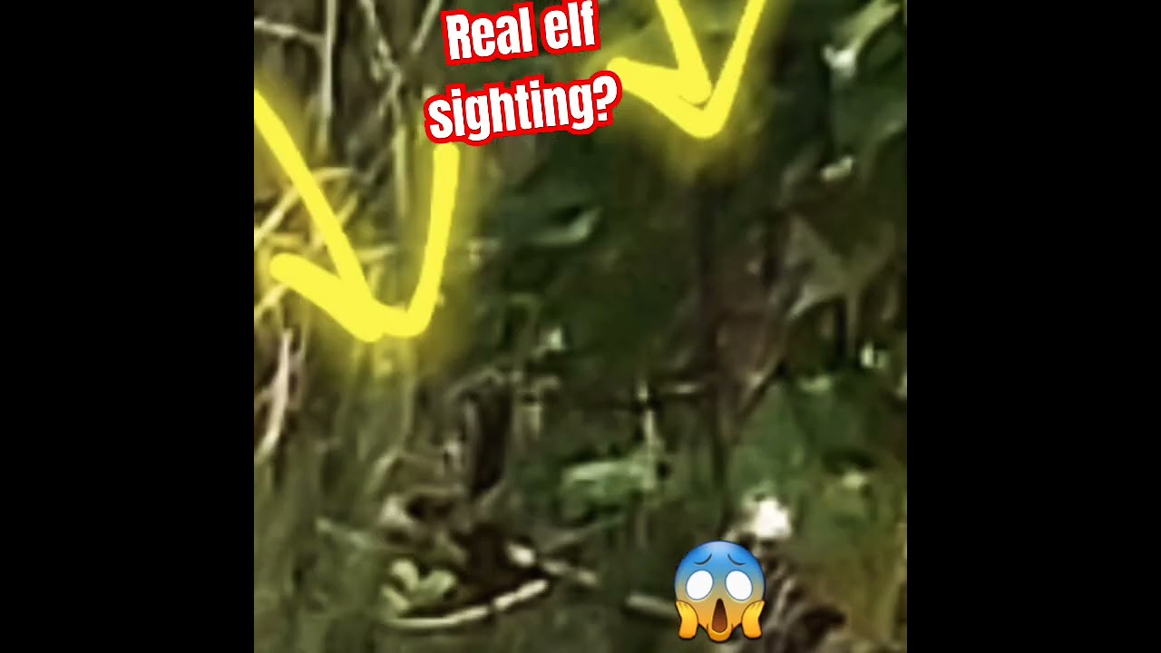 real elf caught on camera! duwende duende hulicam! sighting no. 22 #shorts  #elf #elves #pixie 