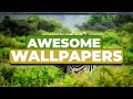 How to find and manage Wallpapers on Linux