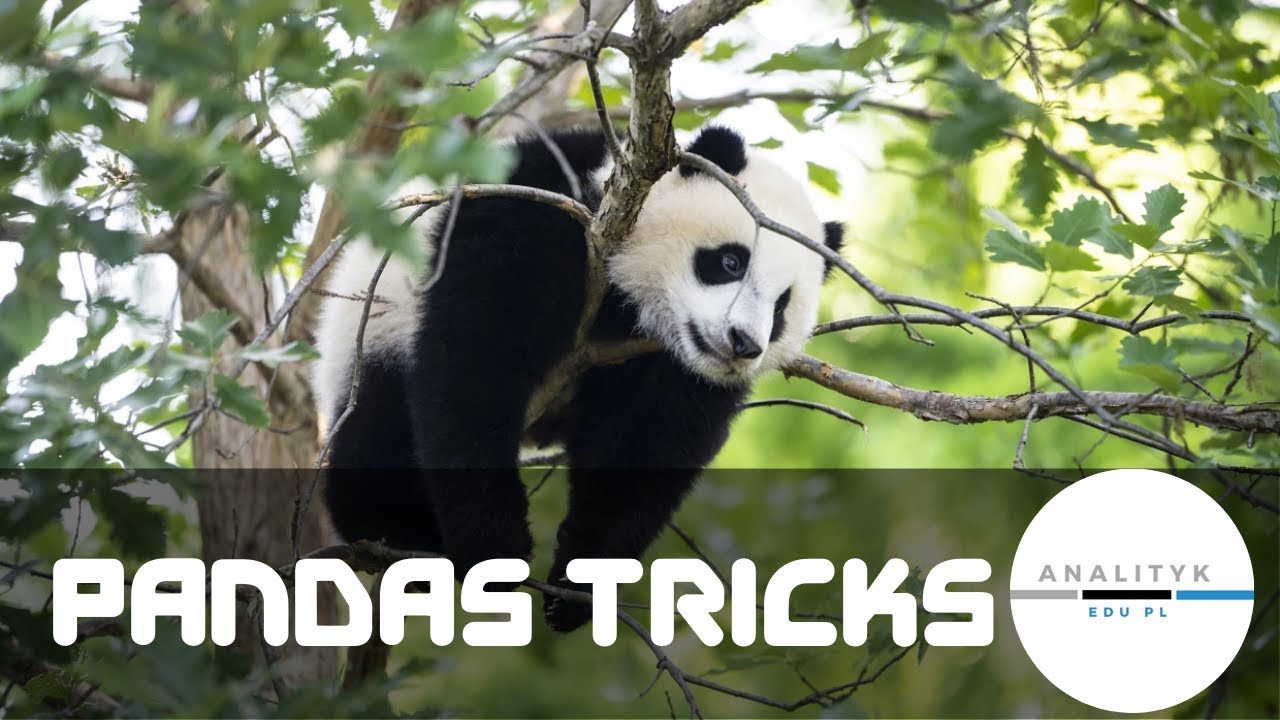 Python Pandas - 10 sztuczek które warto znać w analityce danych